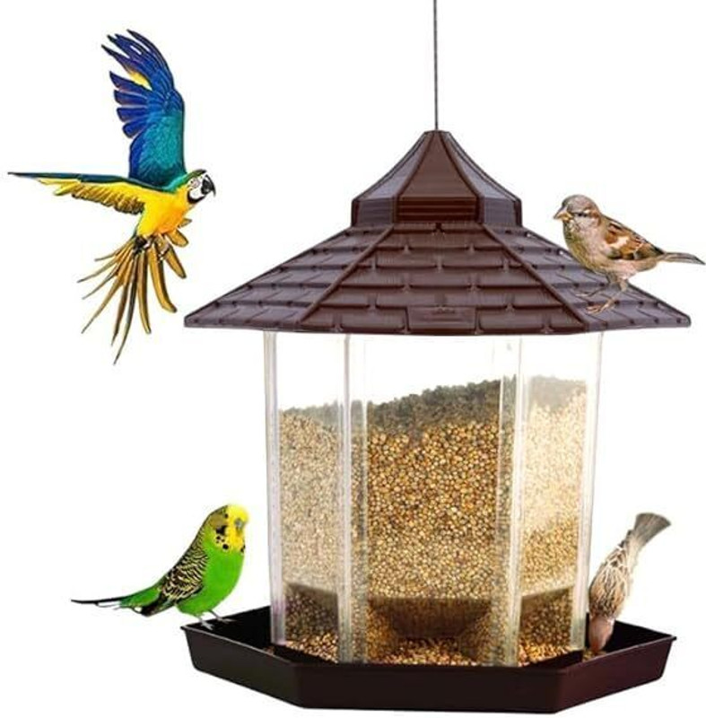 Garden's Need Hut Shape Bird Feeder with 360° Perch, Transparent Grain Holder, 1-Mtr SS Wire Window Bird Feeder Bird Feeder(Green)