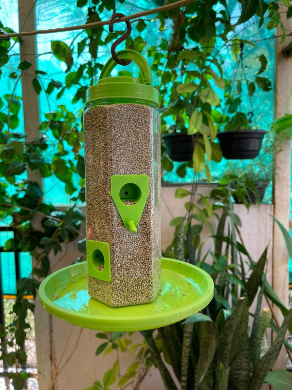 chullbull pet products Medium Bird Feeder With Holding Handle Pack of 1 Window Bird Feeder Bird Feeder(Clear, Green)