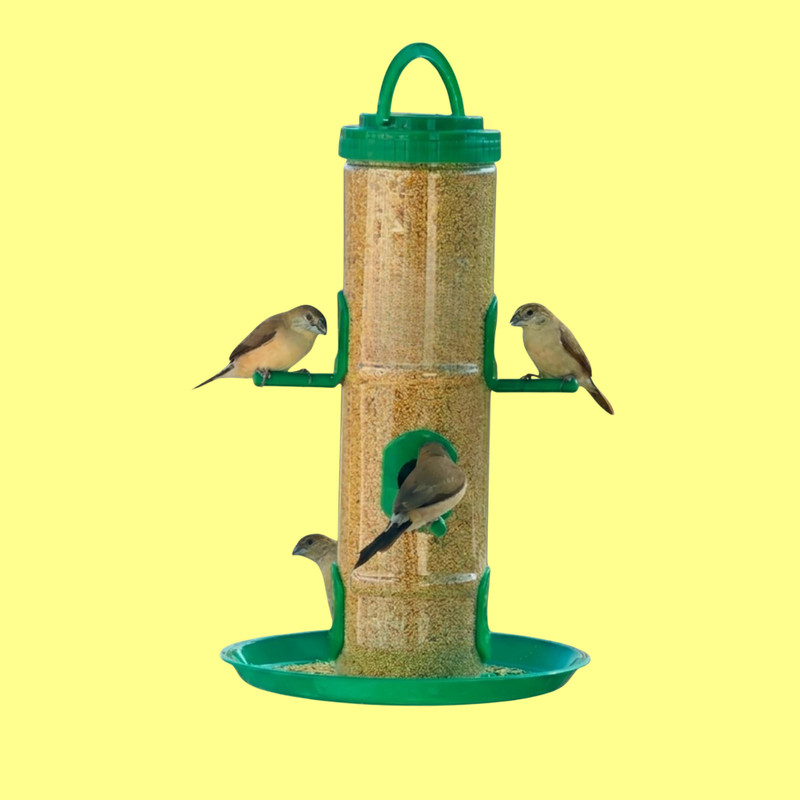 Aastha Pure All-Weather Feeder for Garden Hanging - Durable ABS Plastic Window Bird Feeder(Green)