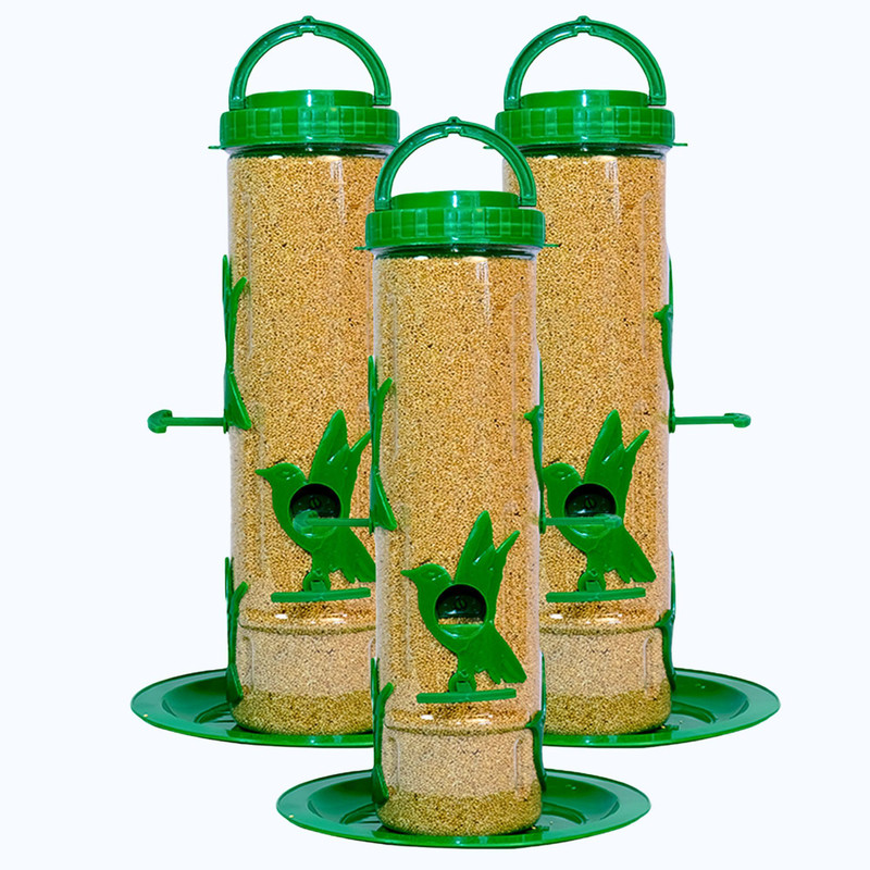 GKWings Pack of 3 Tube Style Feeder | Clear Body Outdoor Hanging Unit Tube Bird Feeder(Green)