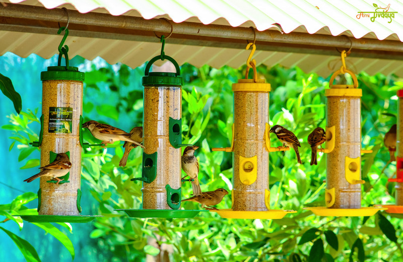 PMW Tube Bird Feeder(Multicolor)