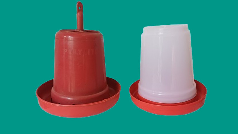 Nexoraa Birdsfeed Tube Bird Feeder(Multicolor)