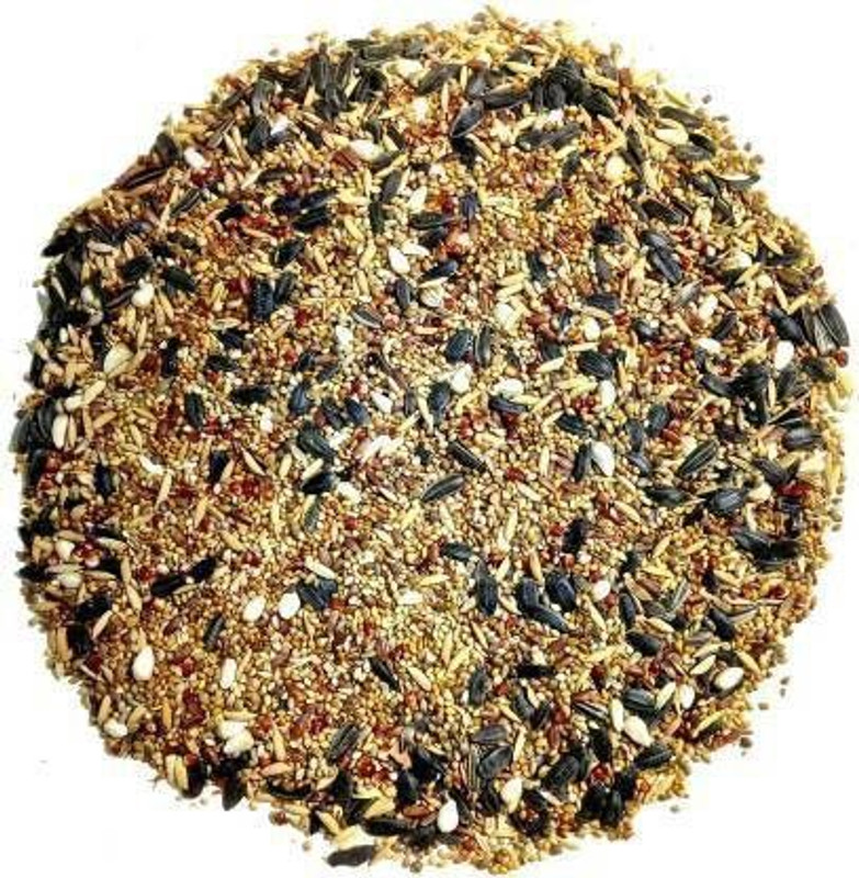 KG Creation Seeds Natural Birds Foods cockatiel,Love birds,Munia,Parrots, (450 Gram) Blue Bird Bird Feeder(Multicolor)