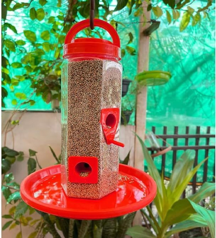 Gromax India Blue Bird Bird Feeder(Red)