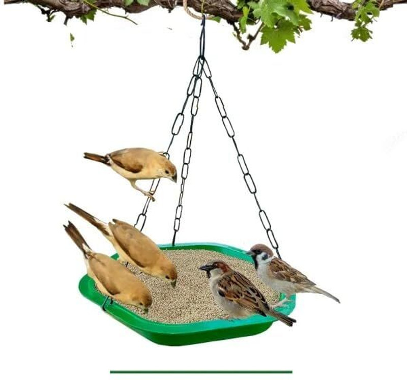 AMIJIVDAYA Hanging Bird Feeder | Durable Plastic | Easy Refill | 360° Feeding Tray Bird Feeder(Green)