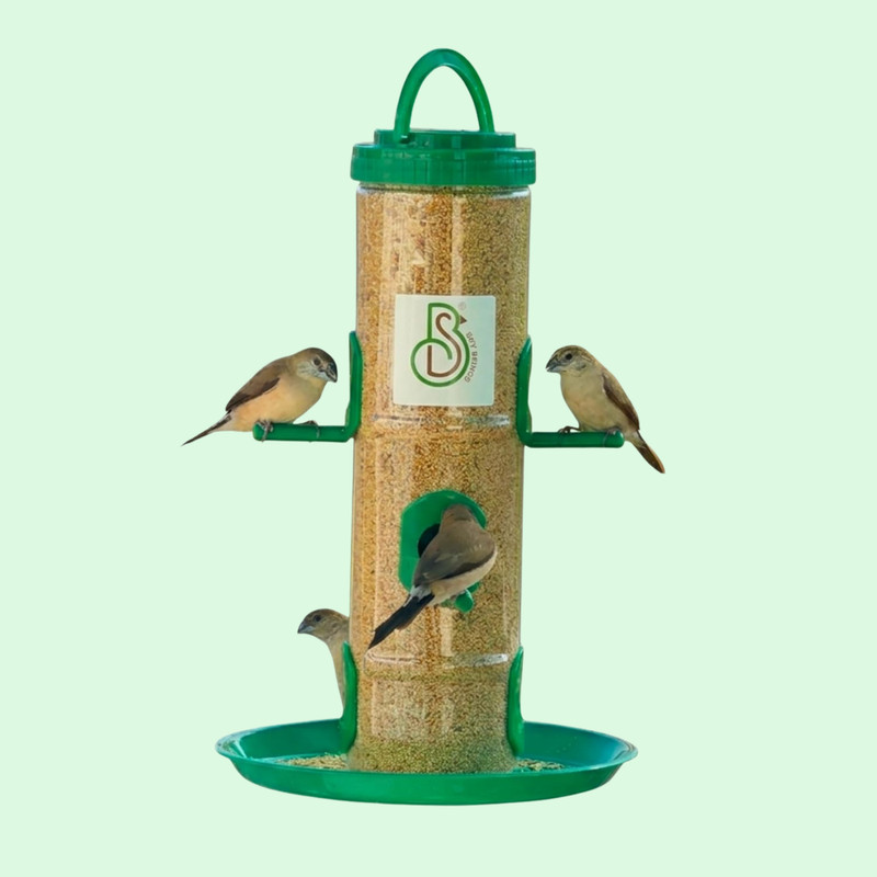Skybeings 1kg Large Bird Feeder Station with 6 Port Design Window Bird Feeder(Green)