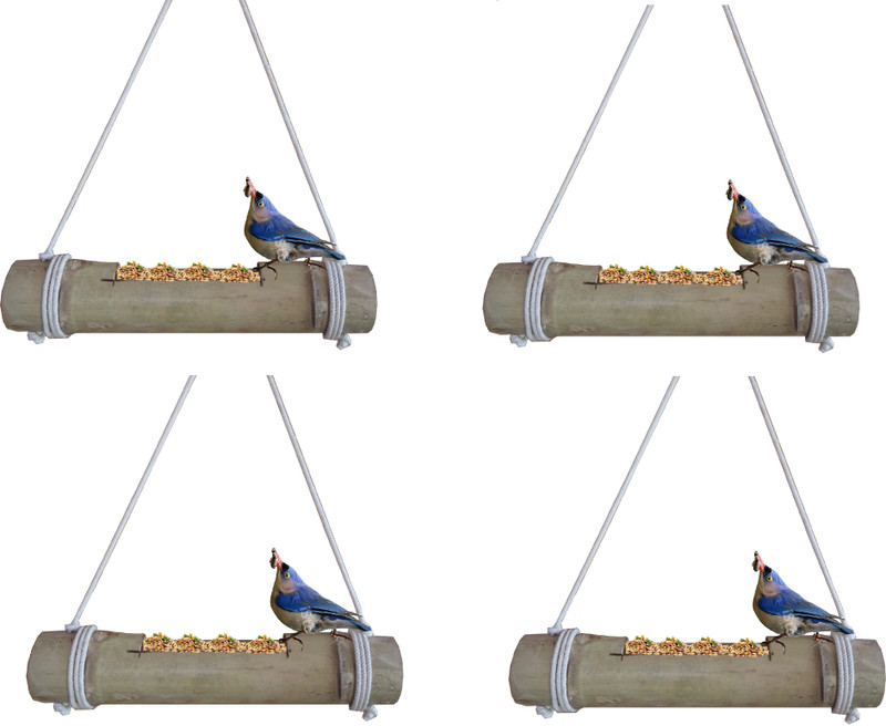 RARE OCEANS Bird Feeder for Birds Natural Bamboo Made (Pack of 3) (Green to Pale Yellow) Caged Bird Feeder(Multicolor)