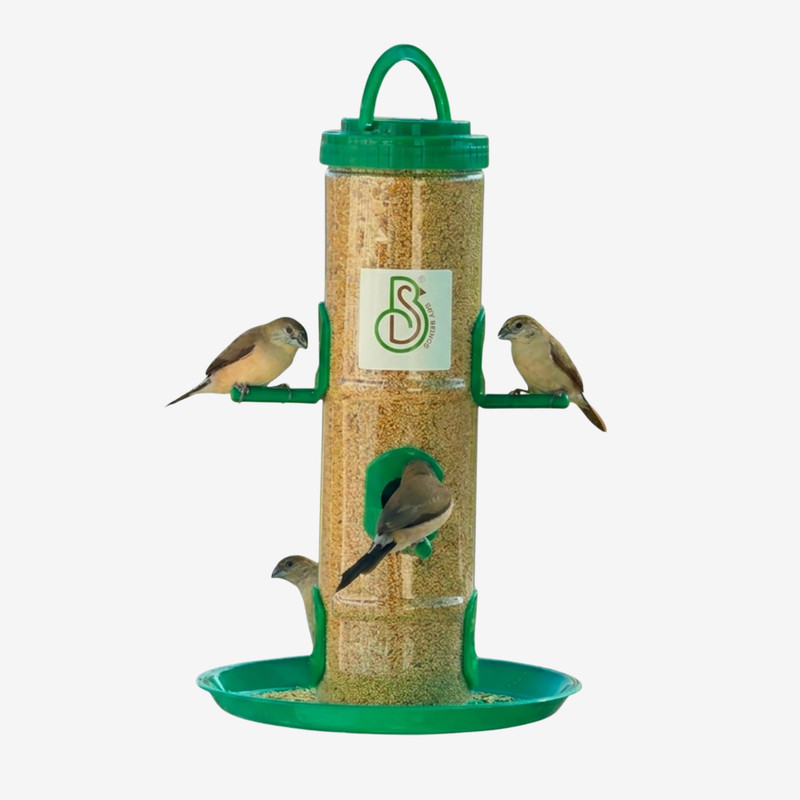 Skybeings Clear View Bird Food Station with Hanging Hook - 1kg Window Bird Feeder(Green)
