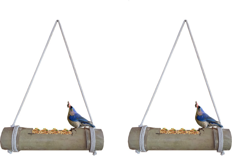 RARE OCEANS Blue Bird Bird Feeder(Grey)