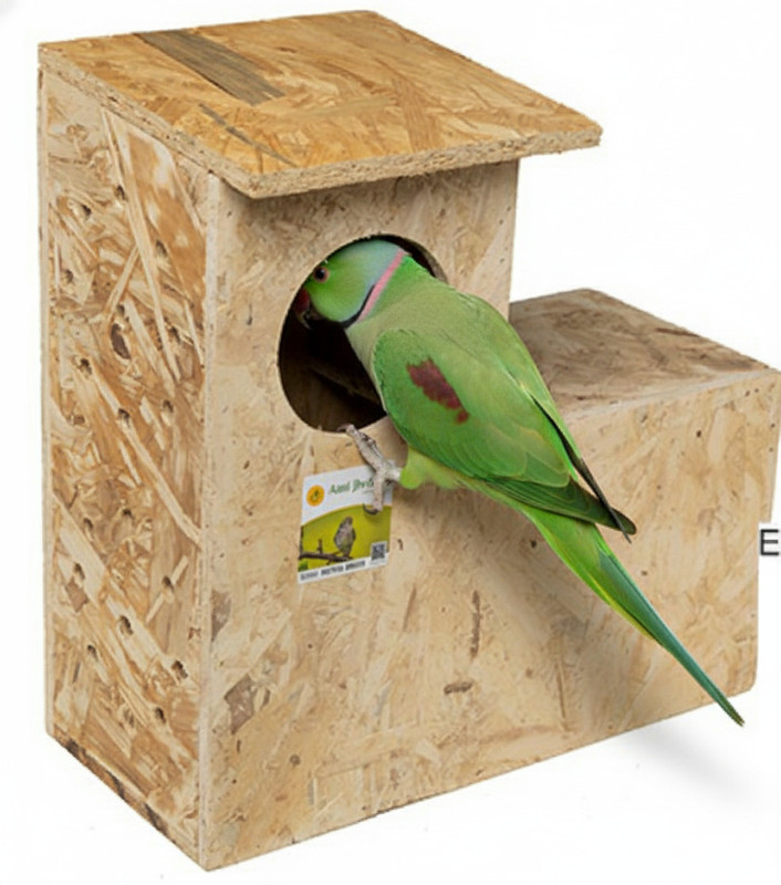 Amijivdaya Parrot Home Bird House(Tree Mounting, Wall Mounting)