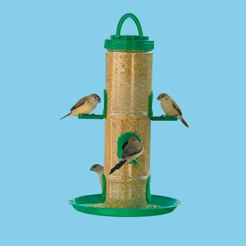 Aastha Pure Transparent with Multiple Ports for Quick Feeding Window Bird Feeder(Green)