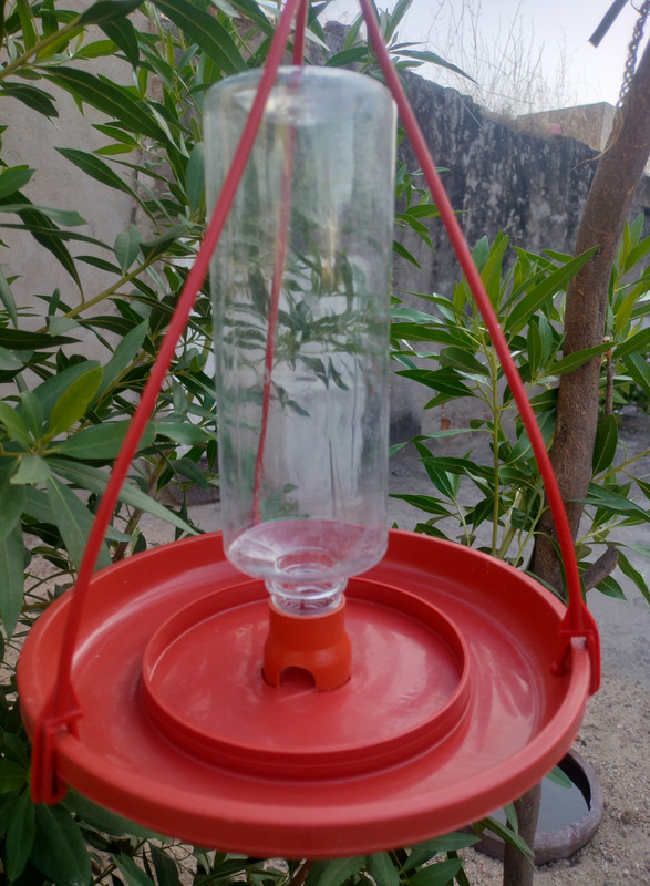 Craftymadness Window Bird Feeder Bird Feeder(Maroon)