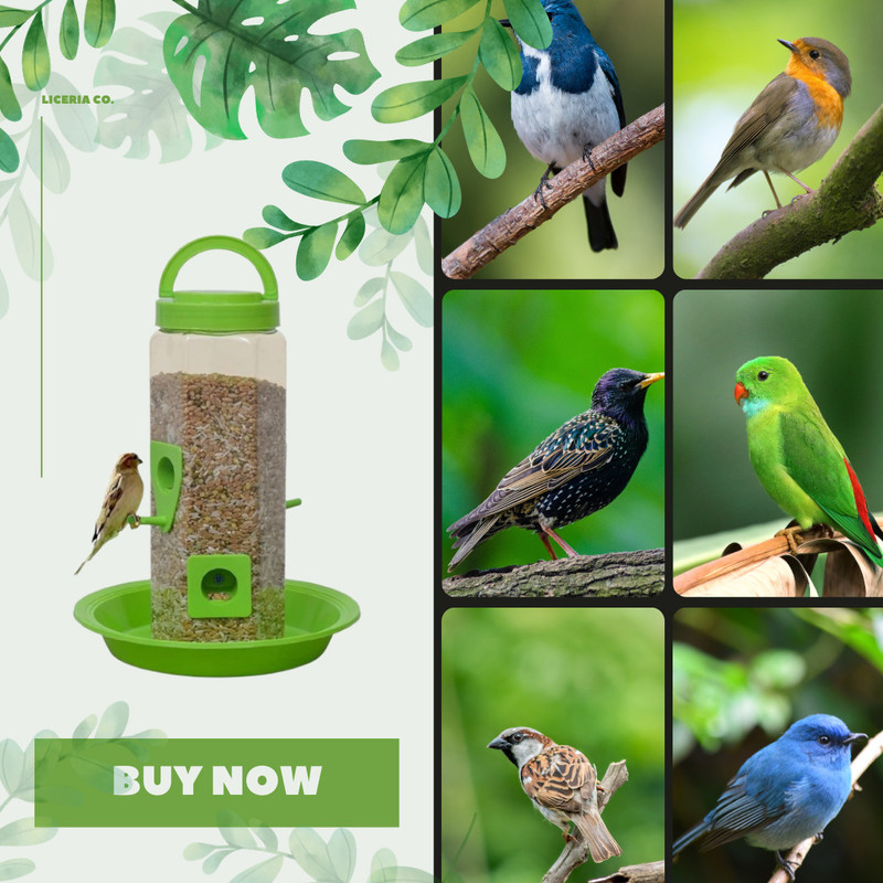 SOMANATH SALES 01 Window Bird Feeder(Multicolor)