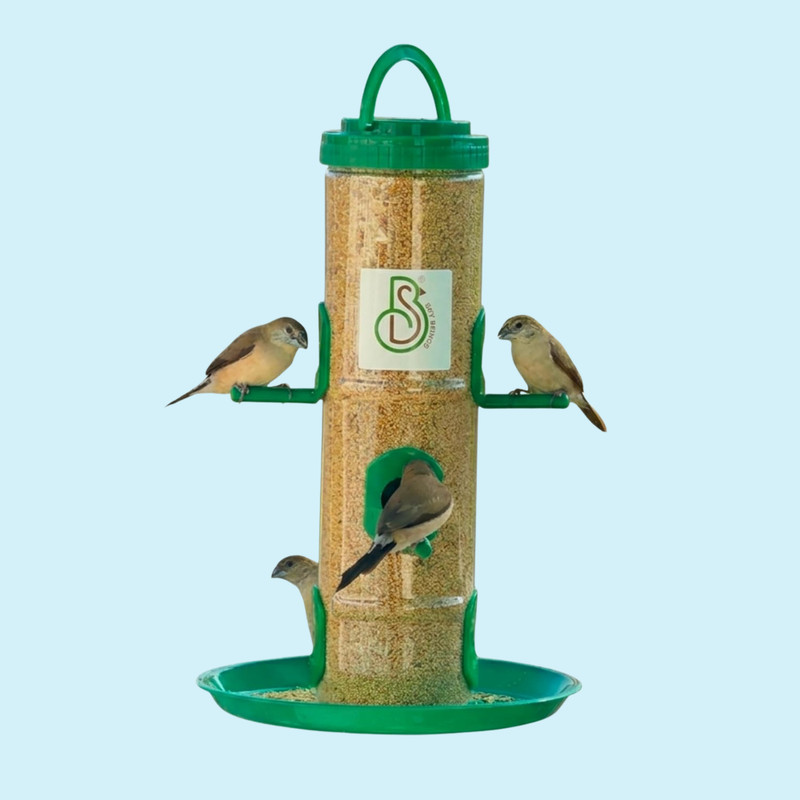 Skybeings Sparrow Special Bird Food Dispenser - 1kg Capacity Window Bird Feeder(Green)