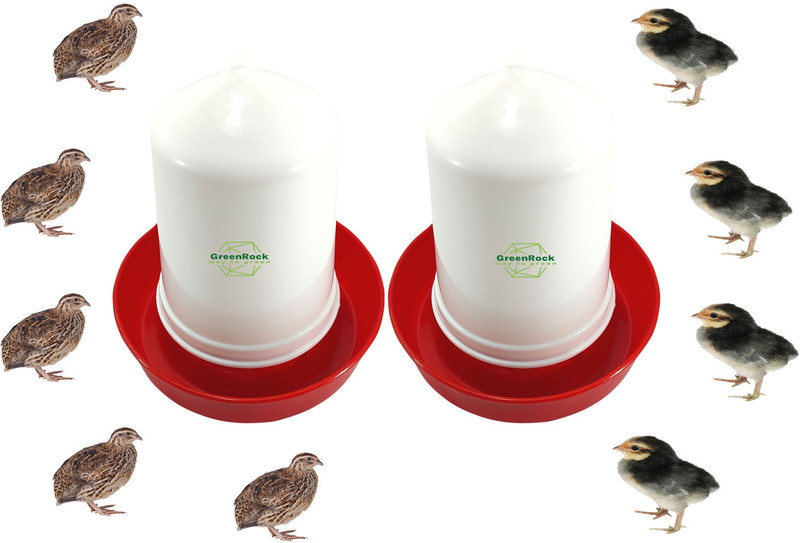 Greenrock Chick & Quail Food Feeder & Drinker Combo 500 grams capacity (Pack Of 4) Common Bird Feeder(White, Red)