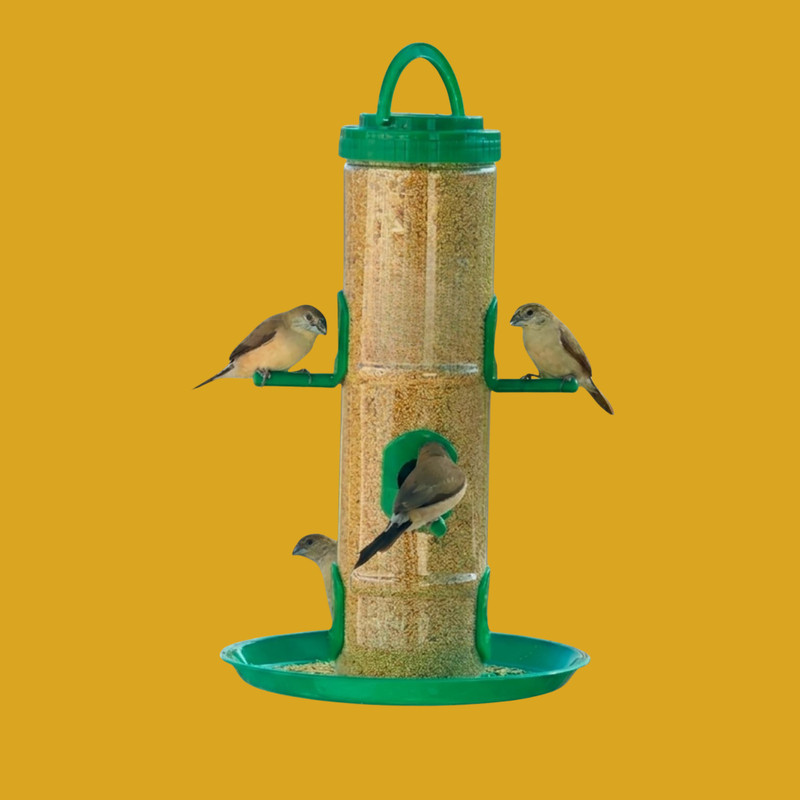 Aastha Pure 360-Degree Feeding Station with Catch-All Bottom Tray Window Bird Feeder(Green)