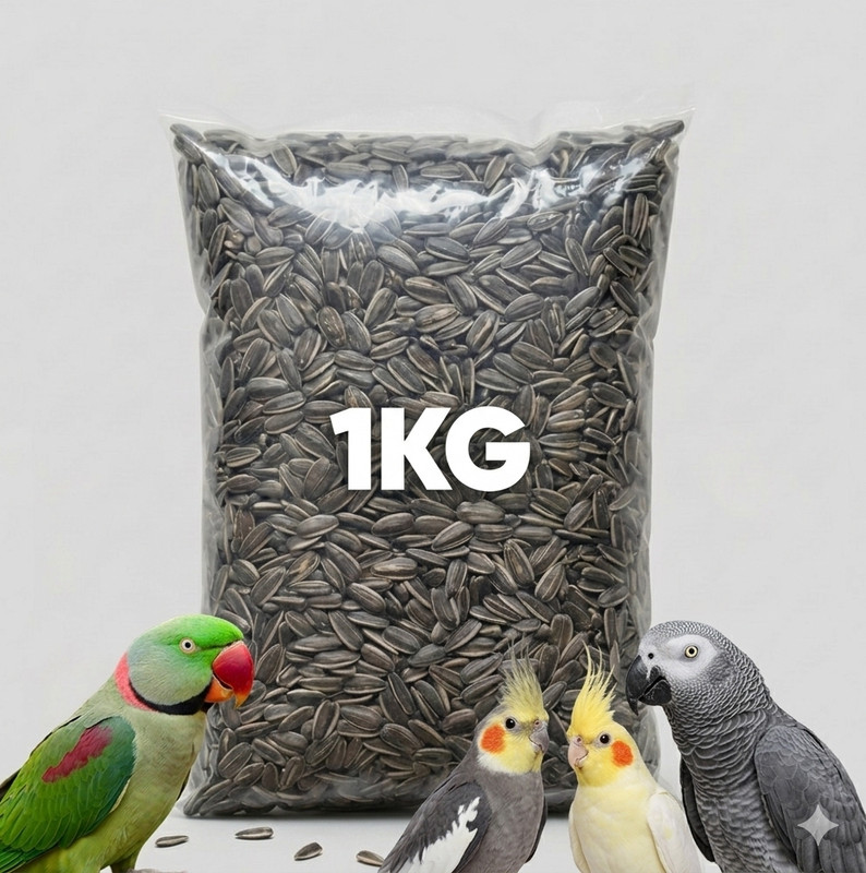 Nutribuds Fruit & Nut Bird Feeder(Black)