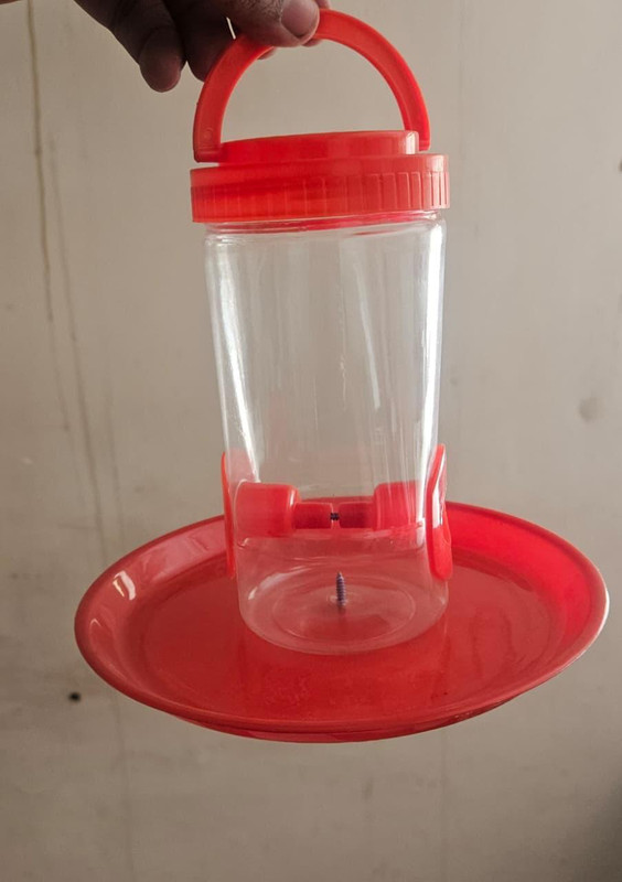 Divyanshi Window Bird Feeder Bird Feeder(Red)