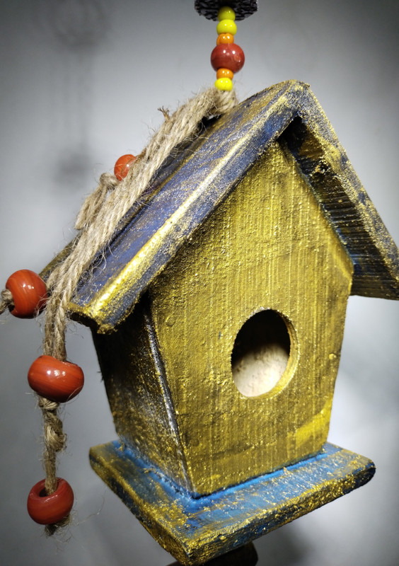 Glimpse Birds house Window Bird Feeder Bird Feeder(Gold, Blue, Multicolor, Orange)