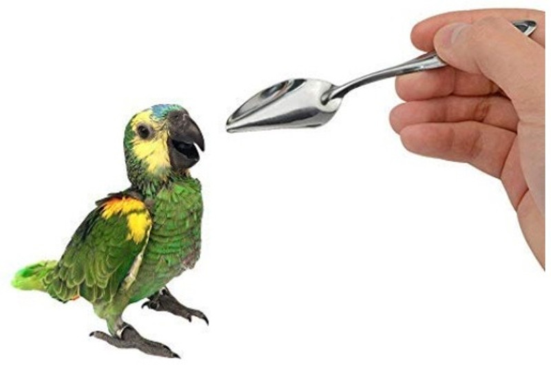 Stmm Hand Feeding Spoon with Curve Tip for Birds/Puppy/Kitten/Hamster/Dog Common Bird Feeder(Silver)