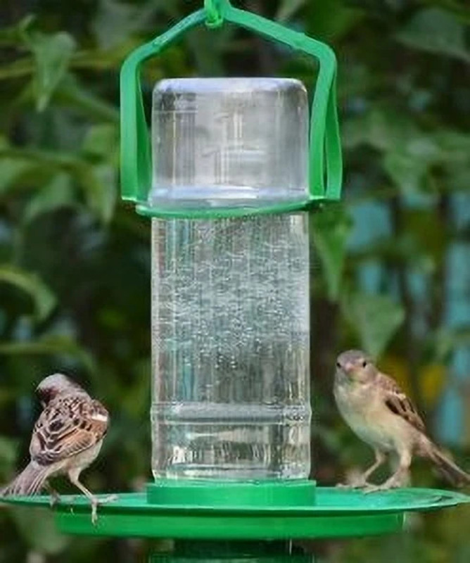 DATAART Automatic water feeder for bird Window Bird Feeder Bird Feeder(Green)