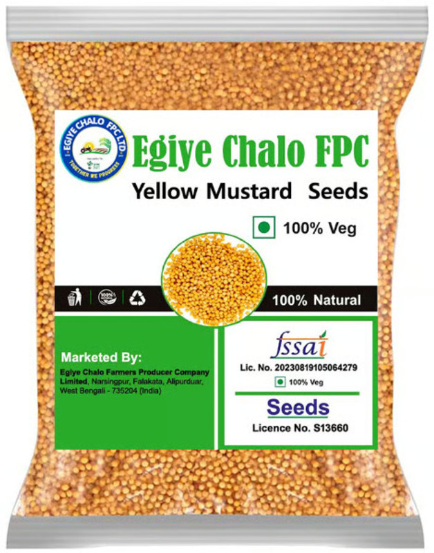 Egiye Chalo FPC Blue Bird Bird Feeder(Yellow)