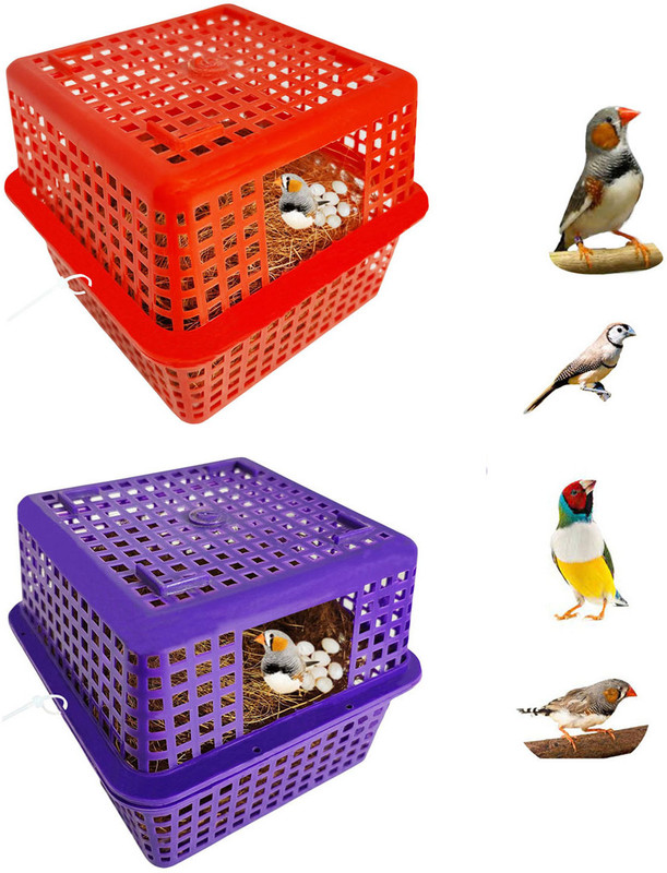 Skystar Birds Breeding Box Finches Sparrow Nest Basket,House for Finches (Pack Of 1) Bird House(Free Standing)