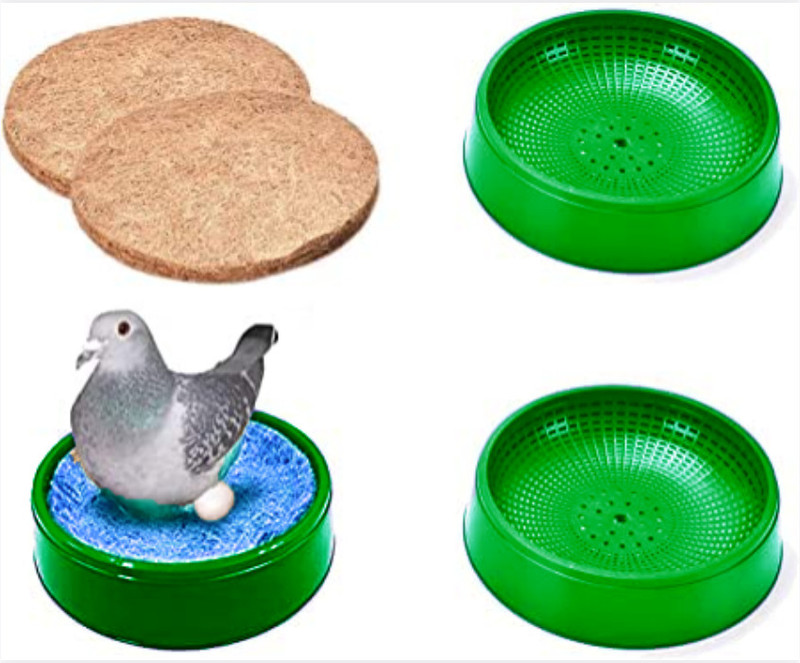 G P S Pigeon Egg Bowl + Nest Pad - Set of 3 Piece, Size: (24X6.5 cm) - Blue Color Bird House(Wall Mounting)