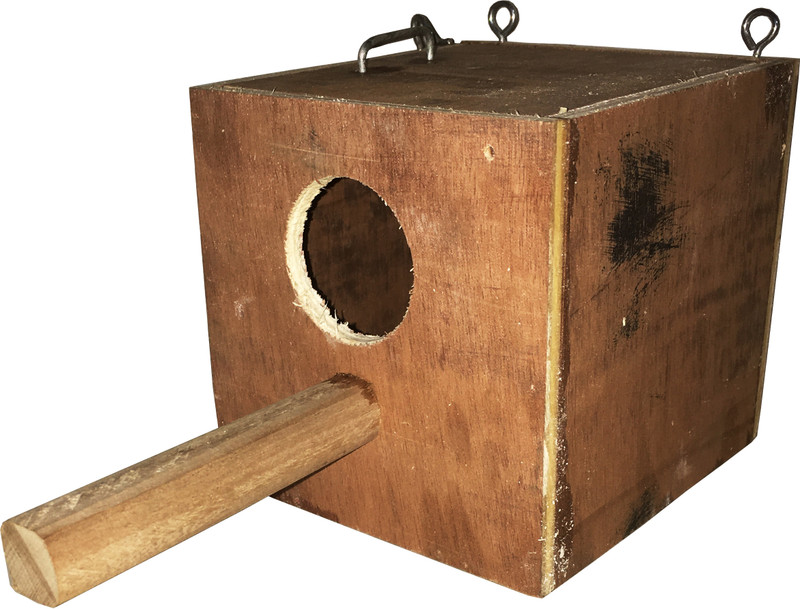 SHRING CRAFT Shringcraft SN-01 Size 10cm x 10cm x 11cm suitable for Finch bird Bird House