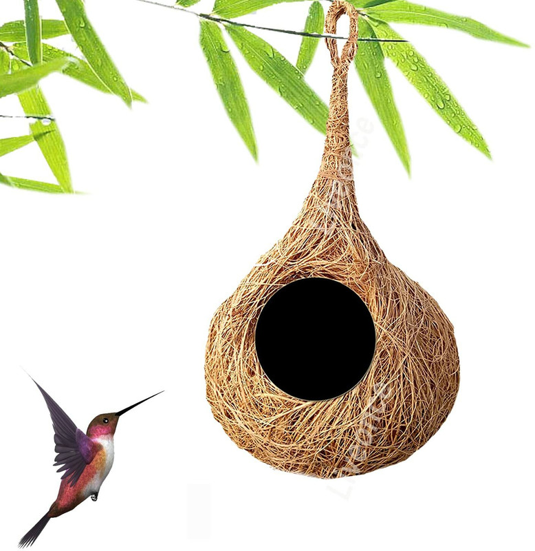 LIVEONCE NATURAL BIRD HOUSE FOR ALL SPECIES BIRDS, SQUARIEEL pack of 1 Bird House(Hanging)