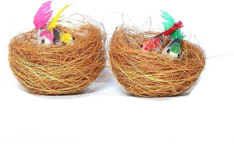 Zoltamulata Natural Two Small nests Made with Coir with Two Birds Each for Home Decor Bird House(Hanging)