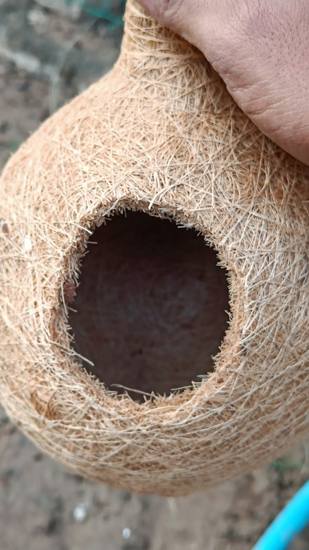 Omiyage Jute Round Nests – Natural, Handcrafted Resting Spaces for Small Birds Set of 2 Bird House(Hanging)