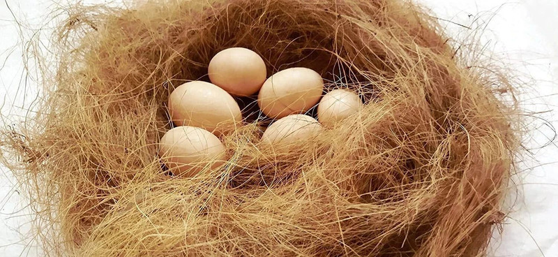 JUGNOO Nesting Material for Birds for Making Nest, Manually Extracted Natural CoirFiber Bird House(Free Standing)