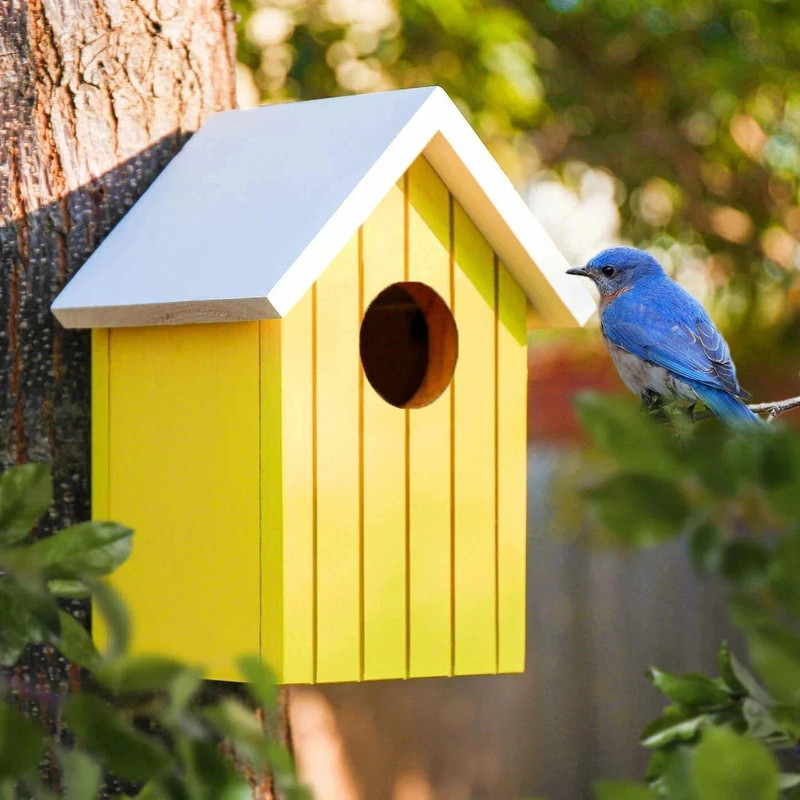 BIRDSHALA Wooden large Bird House for Sparrow, Bulbul, Budgies, Wild birds & Pet birds Bird House(Wall Mounting, Free Standing)