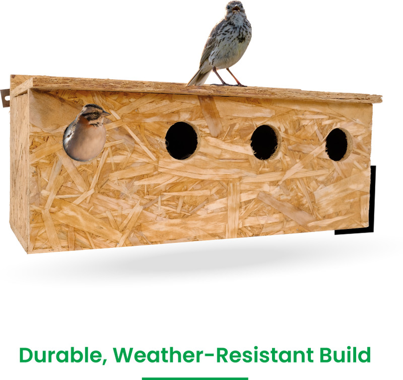 Amijivdaya 2 No Bird Home Color ( L Shape) Bird House(Tree Mounting, Wall Mounting)