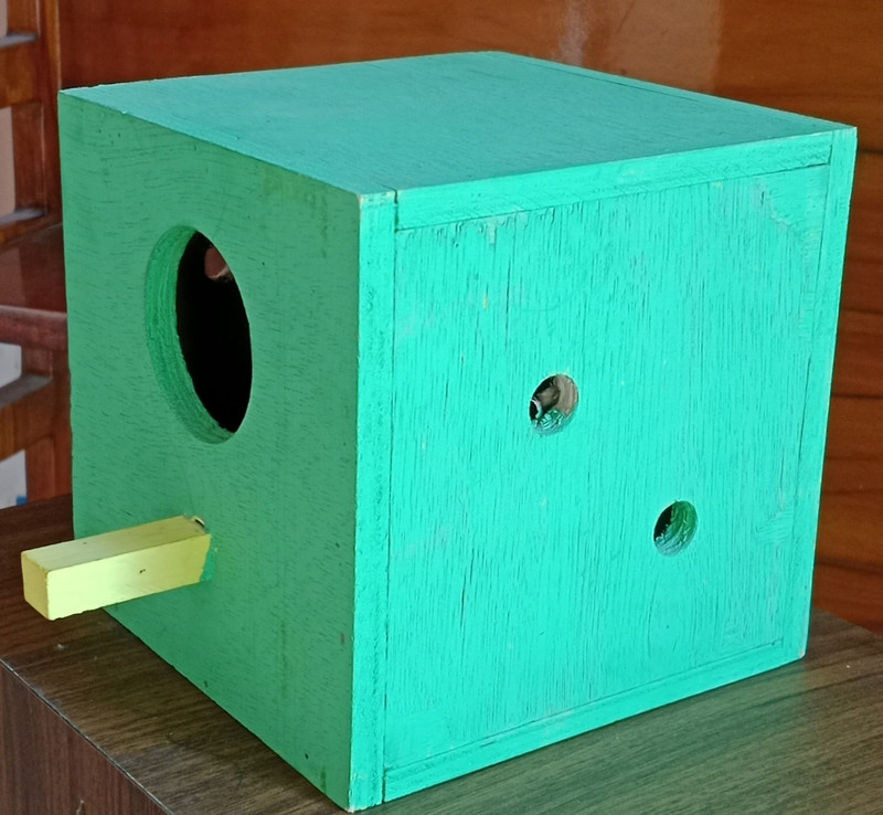 CozyPaws 08 Bird House(Wall Mounting)