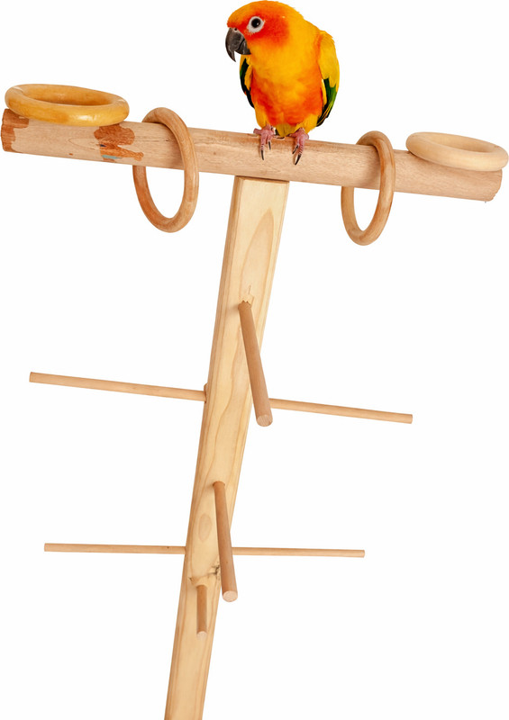 Terra Pine Wood Works Natural Wood Playful Perch Bird Stand / Bird Toy Bird Play Stand