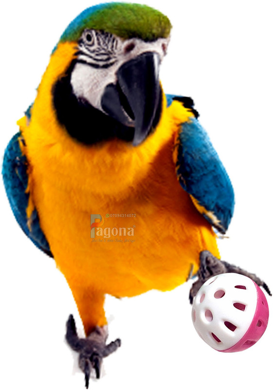 Pagona 1.75inch Bell Ball Bird Toy Bird Play Stand