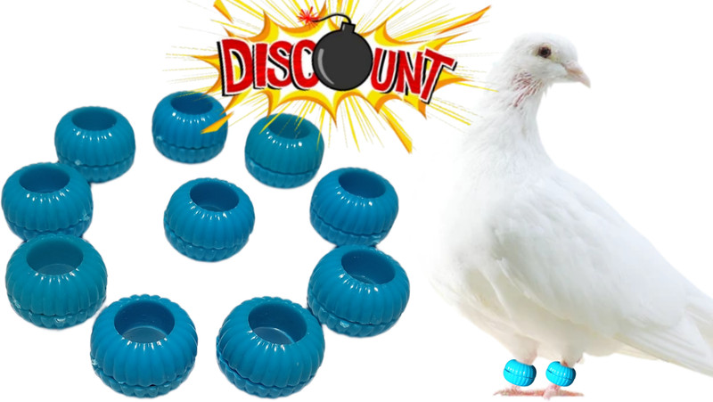 Daivin Pigeons Plastic Foot Sound Rings Pack Of 20 Bird Shoulder Guard(M)