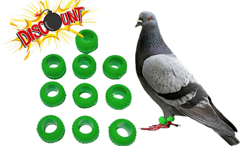 Deshraj Enterprises Pigeon Foot Sound Rings Pack Of 10 Green Bird Shoulder Guard(M)