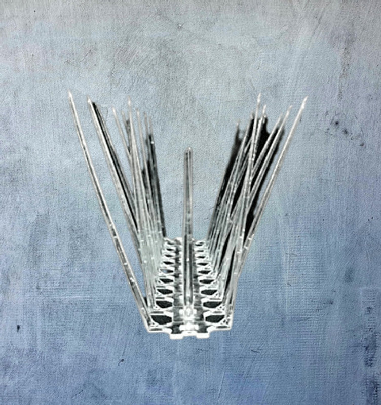 shanti industries Bird Spike