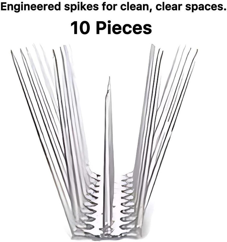 pashchayate Bird Spike