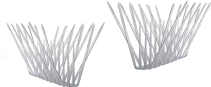 B K Jagan and Co Bird Spike