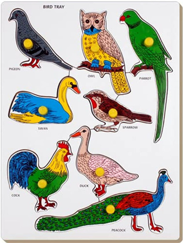 Cyrus 2022 NEW Wooden Birds Board game educational Puzzle for Kids(Multicolor)
