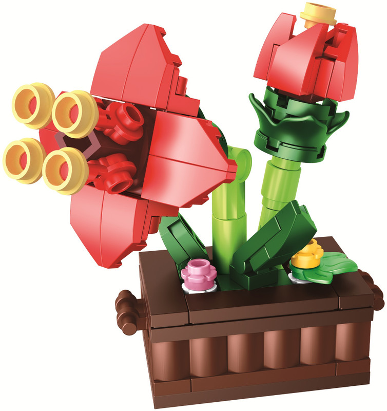 ThinkerPlace 8 in 1 Flowers (Hippeastrum)(Multicolor)