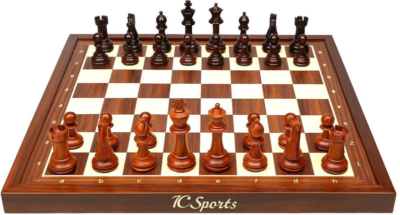 Intellect Creation IC Magnetic Chess Party & Fun Board Game