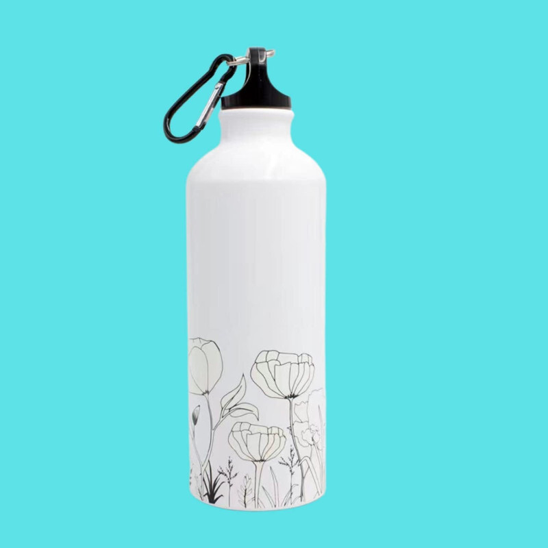 Starbee 500 ml Water Purifier Bottle(Multicolor)