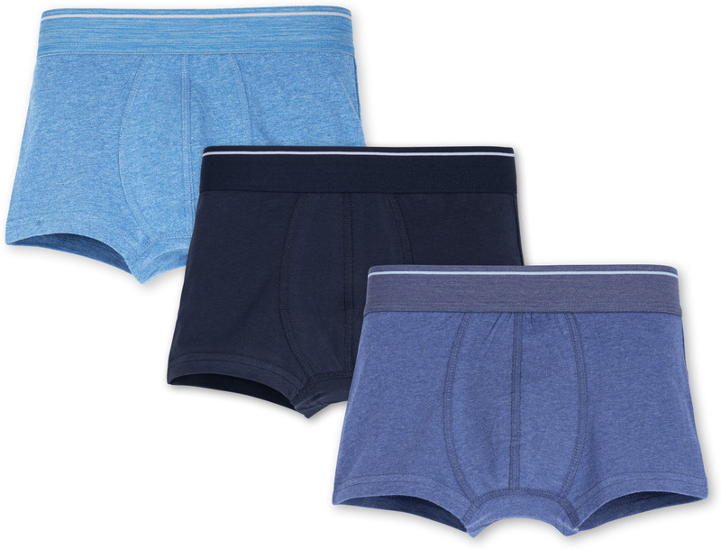 Ariel Printed Boys Boxer