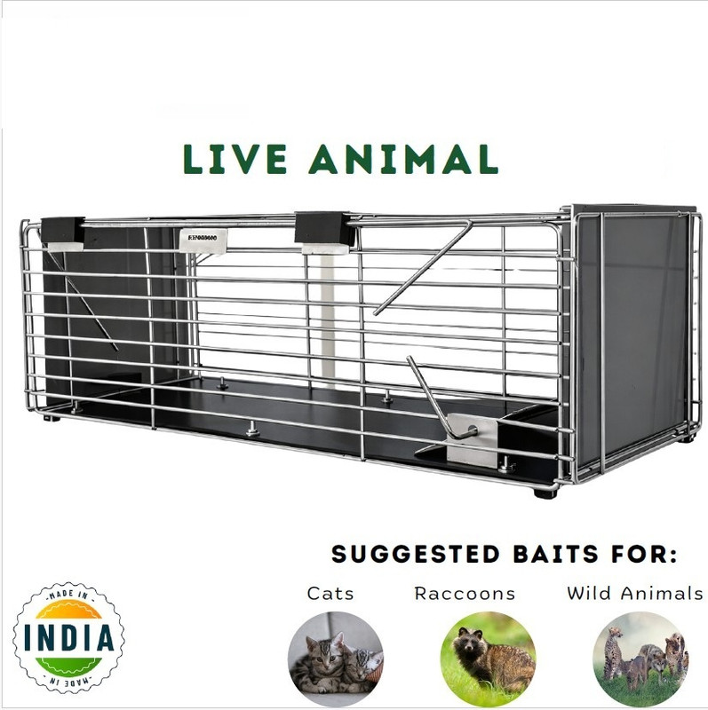 BORAD FASHION P-T-Cage Trap-5000 Cage Cuttlebone Holder
