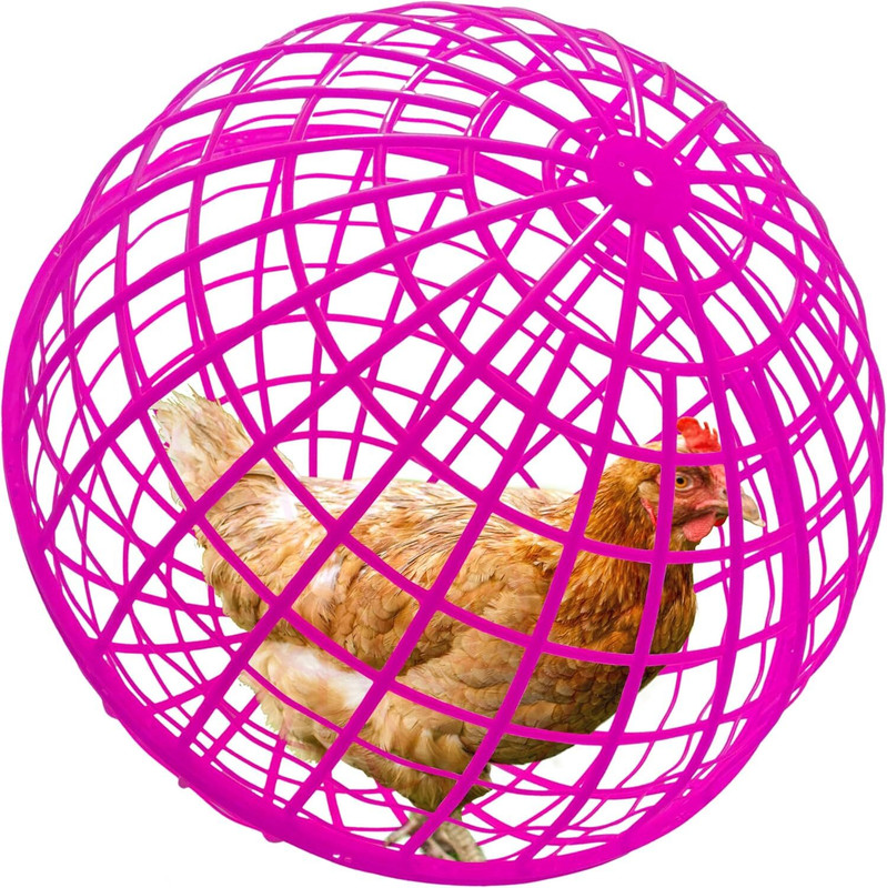 Bethlehem chicken ball cage, r Cage Cuttlebone Holder